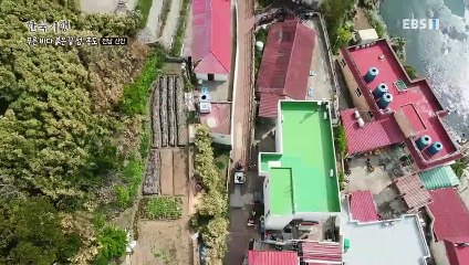 한국기행 - 브라보! 마이 라이프 1부- 푸른 바다 붉은 끝 섬, 홍도_#001