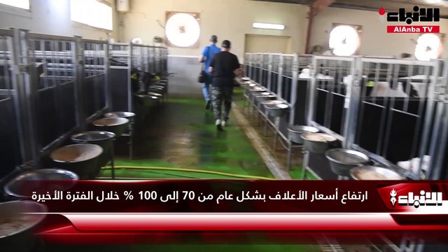 «الأنباء» زارت مزارع الصليبية لإنتاج الحليب الطازج ورصدت أبرز التحديات أمام المنتج الوطني