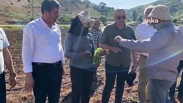 Adıyamanlı tütün üreticisi: Amerikan şirketlerine peşkeş çekiliyor çiftçi