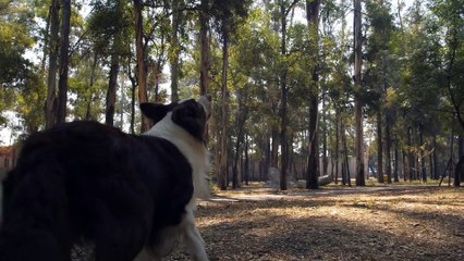 fact of iceland in Hindi