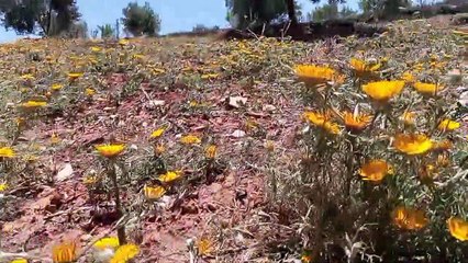 Ait bou Ali tidili massfioua Marrakech Maroc