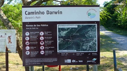 Charles Darwin inspira destino de férias no Brasil