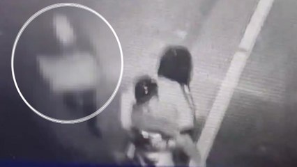 "어떻게 키운 마늘인데"...농산물 절도 '기승' / YTN