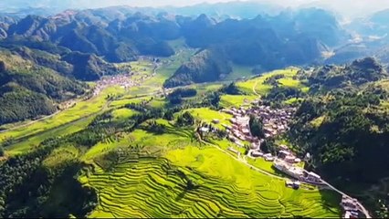 NAPASIN (BU GUO REN JIAN) x Gedruk x Bang Bang Wetan x Kebo Giro x Koplo