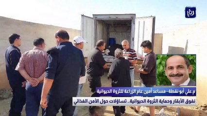 نفوق الأبقار وحماية الثروة الحيوانية.. تساؤلات حول الأمن الغذائي