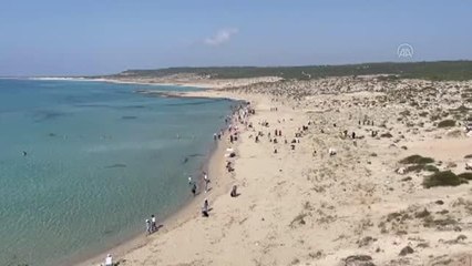 DİPKARPAZ - KKTC'de çevre gönüllüleri, Karpaz'daki Ronnas sahilini temizledi