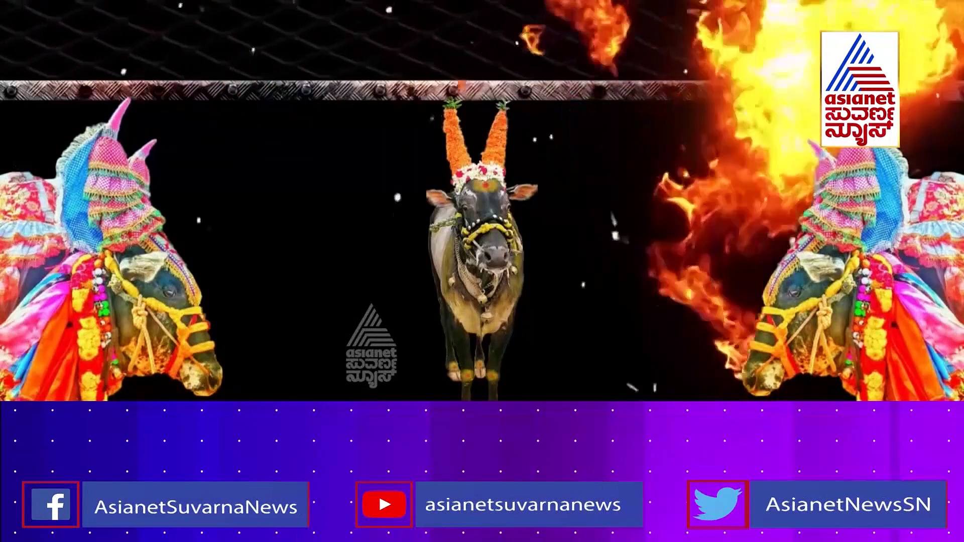 ಆಟ ನಿಲ್ಲಿಸಿದ ಹಾವೇರಿ ಡಾನ್‌ 111... ಸಂಕ್ರಾಂತಿ ಹಬ್ಬಕ್ಕೆ ಸೂತಕದ ಛಾಯೆ