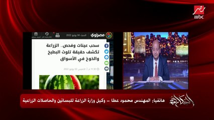 هل البطيخ والخوخ فيهم مشاكل وبيعملوا إسهال؟ م. محمود عطا وكيل وزارة الزراعة للبساتين والحاصلات الزراعية