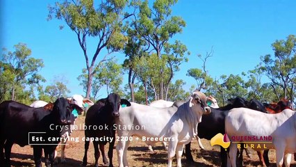 Crystalbrook and Silkwood stations | June 2022 | Queensland Country Life