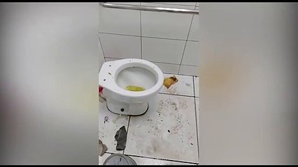 Terminal Oeste: Sujeira e mau cheiro são as reclamações dos usuários