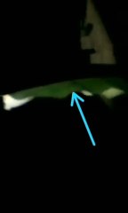 Kuntilanak Terekam Kamera