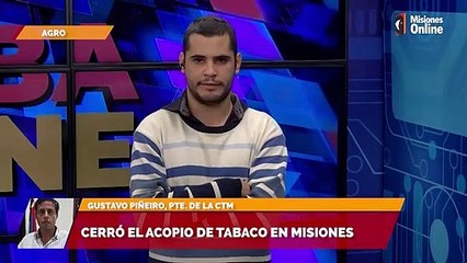 El contrabando a Brasil impactó en el acopio de tabaco