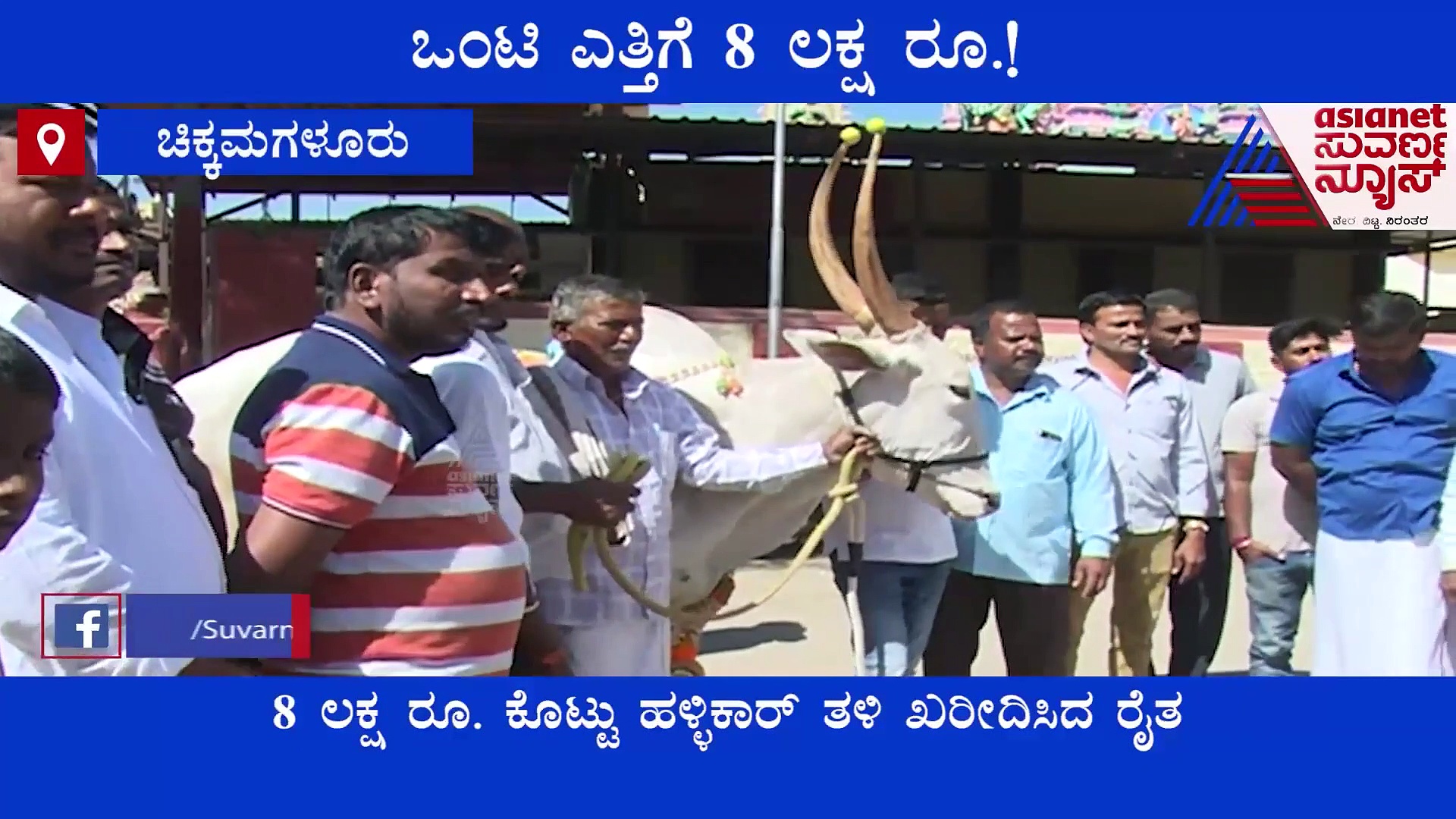 ಒಂಟಿ ಎತ್ತಿಗೆ 8 ಲಕ್ಷ ರೂ ಕೊಟ್ಟು ಖರೀದಿಸಿದ ರೈತ