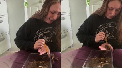 'Woman who overcame fear of tarantulas holds one in her hand *INSTANT REGRET*'