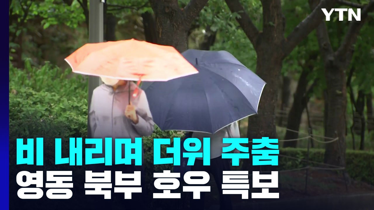 [날씨] '현충일' 비 내리며 더위 주춤...영동 북부 호우특보 / YTN