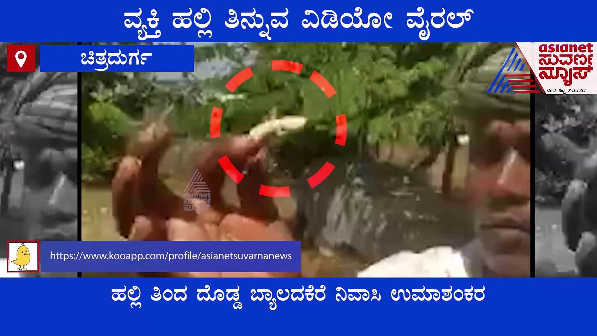 Man Eating Lizard ಹಲ್ಲಿ ತಿನ್ನುವ ಚಿತ್ರದುರ್ಗದ ವ್ಯಕ್ತಿ, ವಿಡಿಯೋ ವೈರಲ್