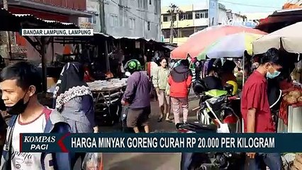 Melambung Tinggi! Harga Minyak Goreng Curah di Bandar Lampung Capai Rp20 Ribu per Kilogram