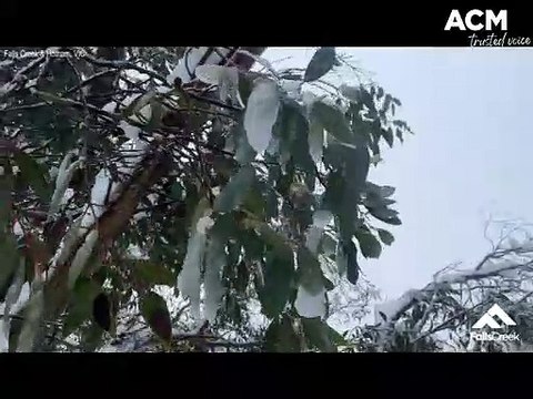 Falls Creek and Hotham snow villages keen for long weekend visitors | June 6, 2022 | Border Mail