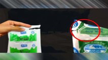 दूध का पैकेट काटते वक्त ना करें ये गलती | Dudh Ka Packet Cut Karne Ka Sahi Tarika | Boldsky #Health