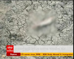 ડીસાના ખેટવા ગામે તળાવનું પાણી સુકાતા અસંખ્ય માછલીઓના મોત