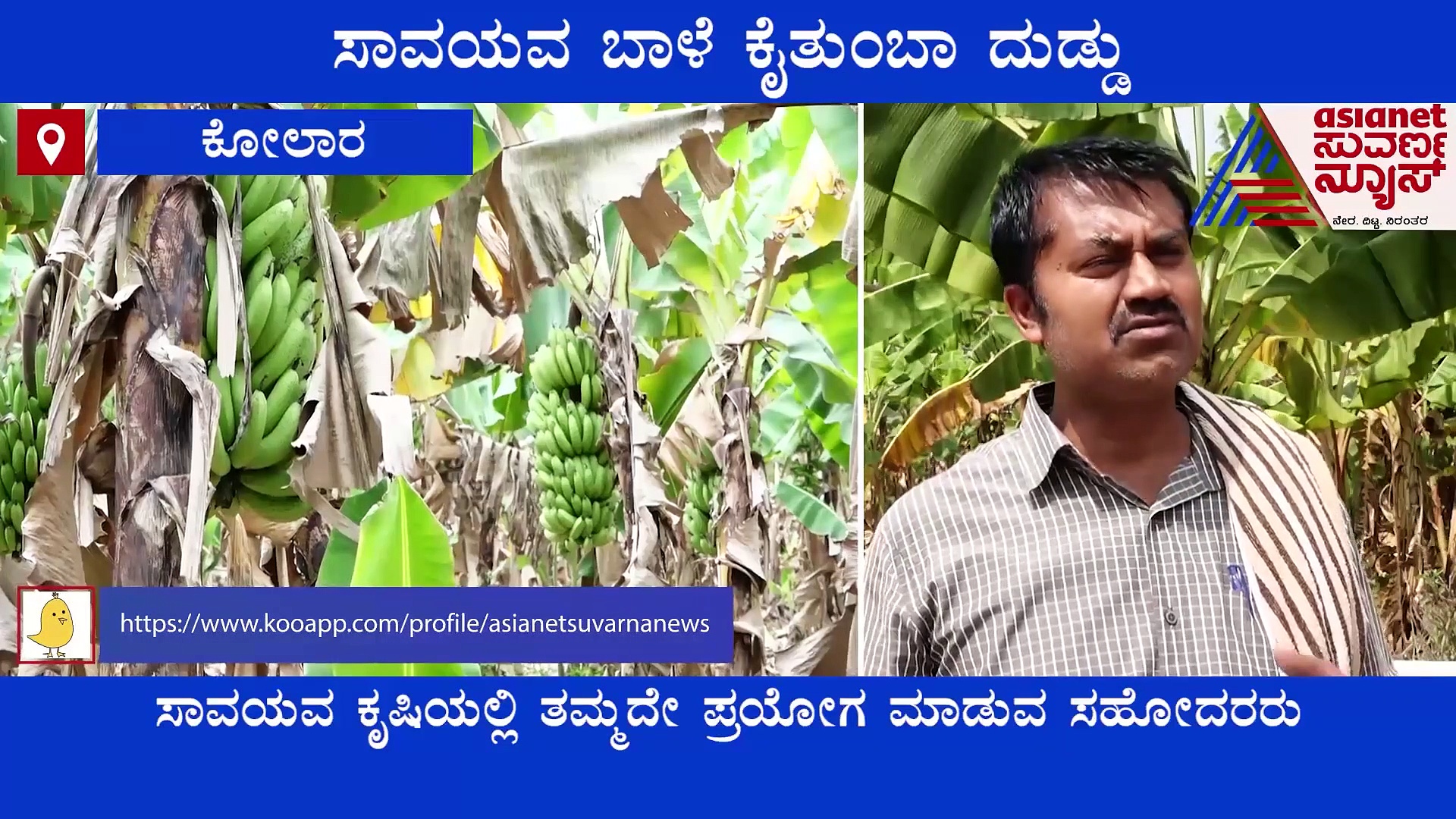 Kolar: ಐಟಿ ಉದ್ಯೋಗಕ್ಕೆ ಗುಡ್‌ಬೈ, ಸಾವಯವ ಕೃಷಿಯಲ್ಲಿ ಯಶಸ್ಸು ಕಂಡ ಸಹೋದರರು!