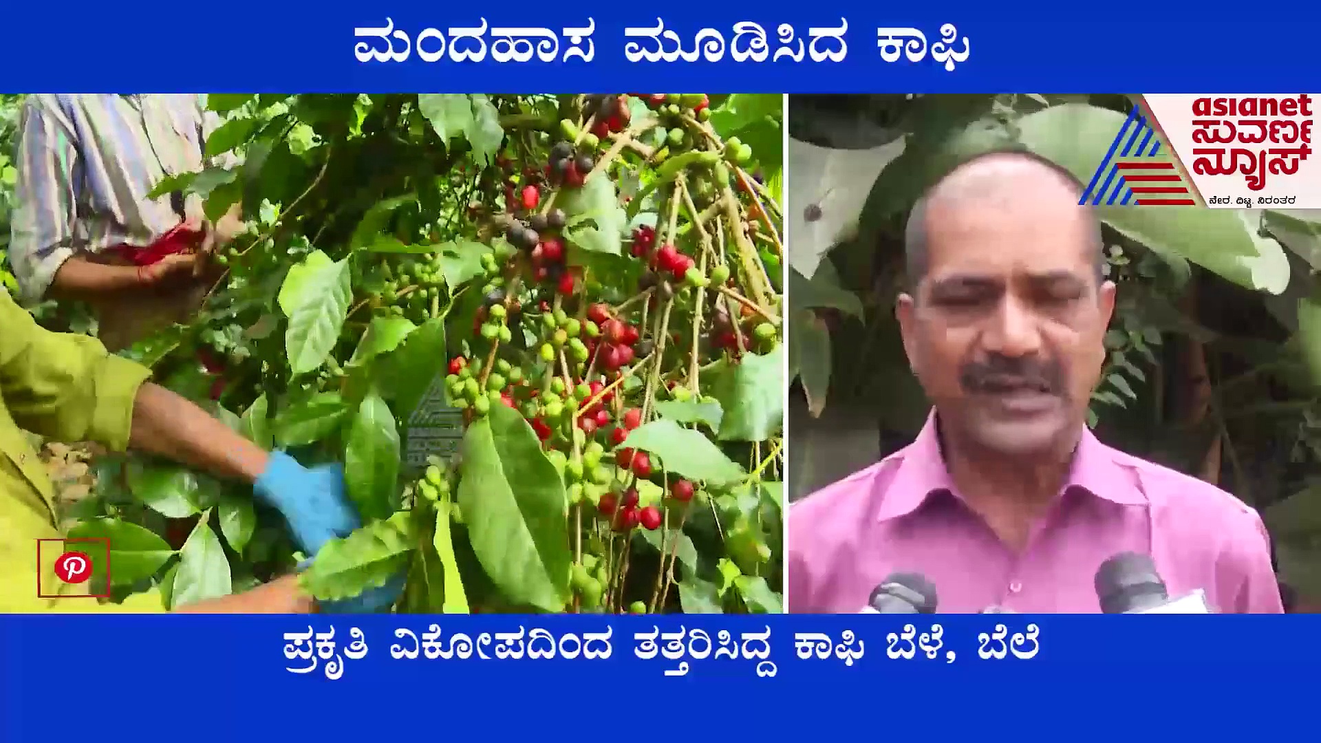 Kodagu: ನಾಲ್ಕು ವರ್ಷಗಳ ಬಳಿಕ ಕಾಫಿ ಬೆಳೆಗಾರರಲ್ಲಿ ಮಂದಹಾಸ: ಭರ್ಜರಿ ಬ್ಯುಸಿನೆಸ್‌
