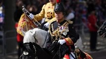 Princess Anne medal meaning What medals will Anne wear for Queen's birthday parade
