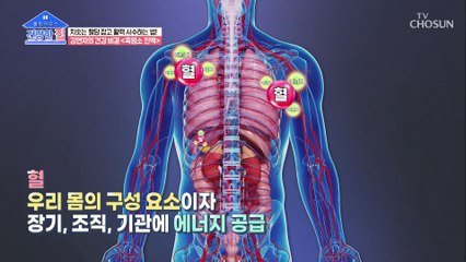 노쇠증후군을 막고 나이는 숫자로 만들어줄 『흑염소 진액』 TV CHOSUN 20220606 방송