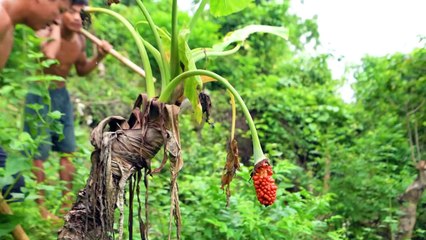 100 Days Building Modern Underground Million Dollar Work And Swimming Pool