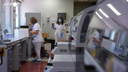 Omicron, la sottovariante BA.5 piu' contagiosa delle sue sorelle