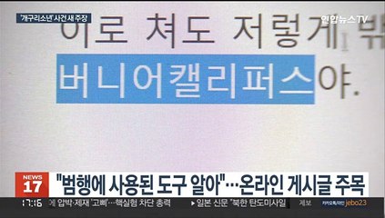 '개구리소년 범인' 새 주장…제2의 이춘재 사건 될까