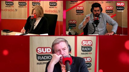 Un nouvel épisode de grêle détruit des plantations dans le Gers : "tout a été détruit"