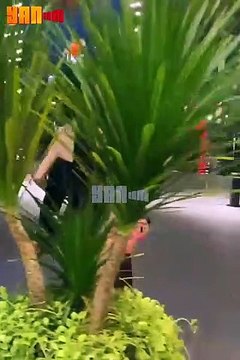 Trường Giang, Khả Như và dàn sao khủng đến dự đám cưới Mạc Văn Khoa: Hoài Linh cũng có mặt