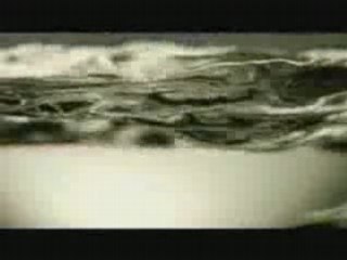 Hésitation - la relation Jacob/Bella