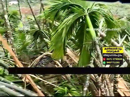 കവളപ്പാറയില്‍ 30 വീടുകള്‍ മണ്ണിനടിയില്‍ കുടുങ്ങി കിടക്കുന്നതായി നാട്ടുകാര്‍