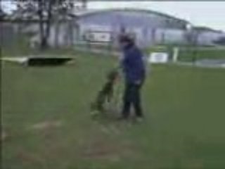 Frisbee