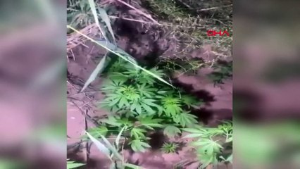 İzmir'de bulundu: Polis bile şaşkına döndü