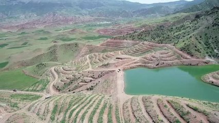 Kiraladığı çorak arazilerde 16 bin ceviz fidanı yeşertti