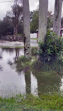 Pickup Powered Waterskiing on Floodwater
