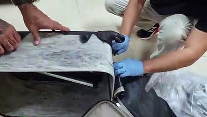 Polícia Federal prende duas mulheres com quase 9 quilos de cocaína no Aeroporto do Recife