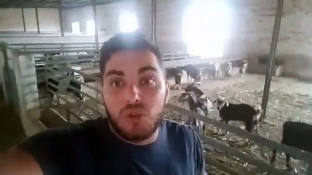 Amarga protesta de un ganadero que advierte: Si esto sigue así, vamos a morir todos