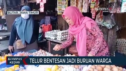 Harga Telur Mahal, Warga Pilih Gunakan Telur Bentesan