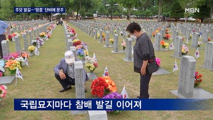 '망종' 단비에 모내기·밭일로 분주…호국영령 추모 발길 이어져