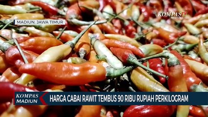 Harga Cabai Rawit Tembus 90 Ribu Rupiah Perkilogram