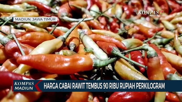 Harga Cabai Rawit Tembus 90 Ribu Rupiah Perkilogram
