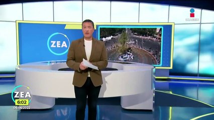 Siembran ahuehuete en Paseo de la Reforma