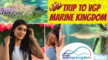 VGP Marine Kingdom Tour | Underwater Tunnel Aquarium| Gayathri Reddy ❤️