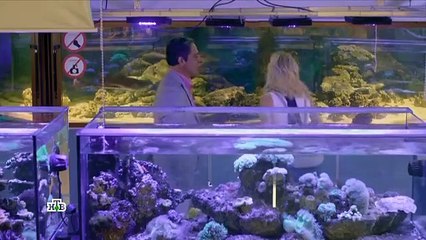 Дельфин - 2 сезон / 11 серия