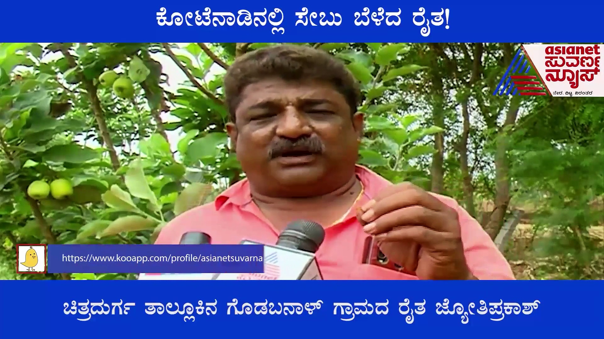 ಬರಡು ಭೂಮಿಯಲ್ಲಿ ಹಿಮಾಚಲ ಸೇಬು ಬೆಳೆದು  ಸೈ ಎನಿಸಿಕೊಂಡ ಕೋಟೆನಾಡಿನ ಕೃಷಿಕ