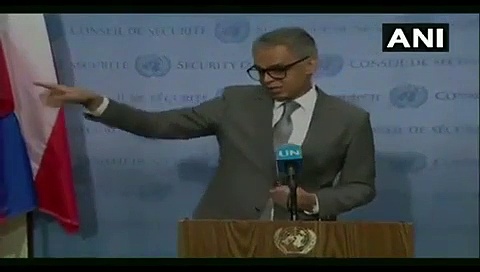 ചൈനയുടെയും പാകിസ്ഥാന്റെയും പ്രതിനിധികൾ 'മുങ്ങിയപ്പോൾ' മാധ്യമങ്ങൾക്ക് മുന്നിലെത്തി ചോദ്യങ്ങൾ നേരിട്ട് ഇന്ത്യൻ പ്രതിനിധി